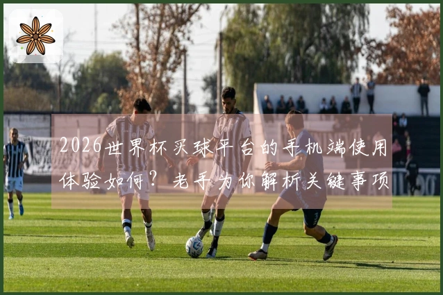 2026世界杯买球平台的手机端使用体验如何？老手为你解析关键事项与避坑建议