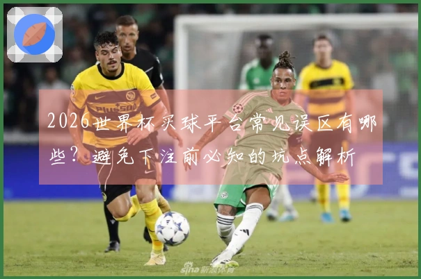 2026世界杯买球平台常见误区有哪些？避免下注前必知的坑点解析